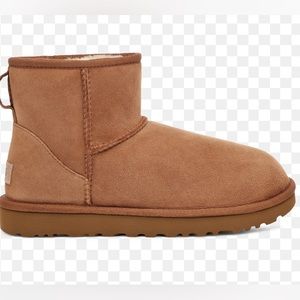 Women’s UGG Mini Chestnut